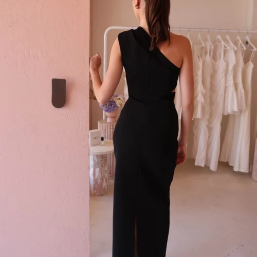 Tojha Tabitha Dress In Black 9 Tojha Tabitha Dress In Black -Chic Wear Store 0W1A3333 scaled