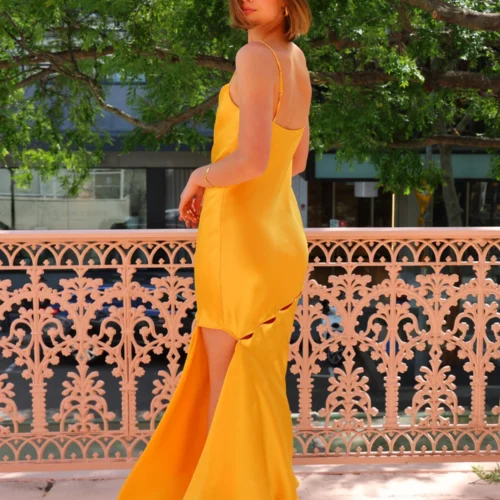 Acler Halewood Maxi Dress In Honey Gold 18 Acler Halewood Maxi Dress In Honey Gold -Chic Wear Store Acler HalewoodMaxiDress 7 scaled